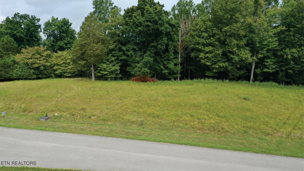 Photo of Deer Creek Path, LaFollette, TN 37766 (MLS # 1311524)