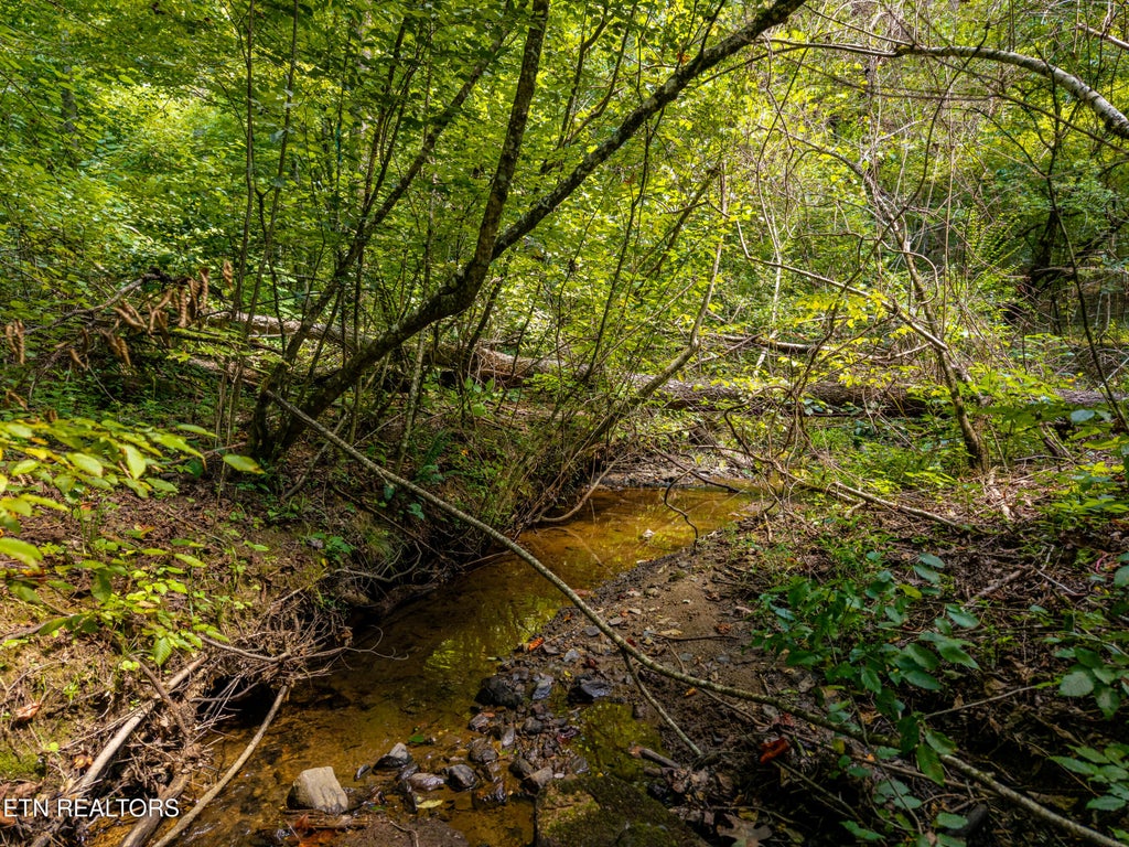 Photo of 407 Chetola Tr, Townsend, TN 37882 (MLS # 1354069)