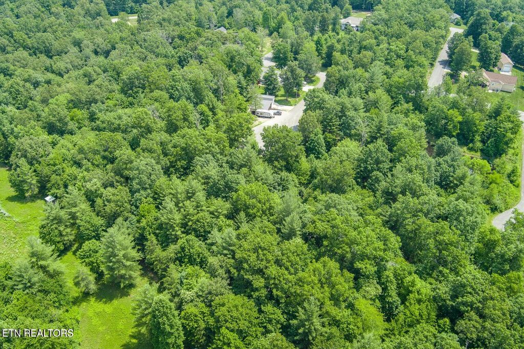 Photo of 58 Mtn Preserve Point, Crab Orchard, TN 37723 (MLS # 1340084)