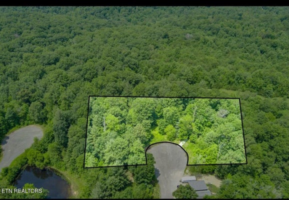 15 TONY DR, CRAB ORCHARD, TN 37723 - Image 66c1b5056efe2f704c7e2edbb113ed46/3901902610