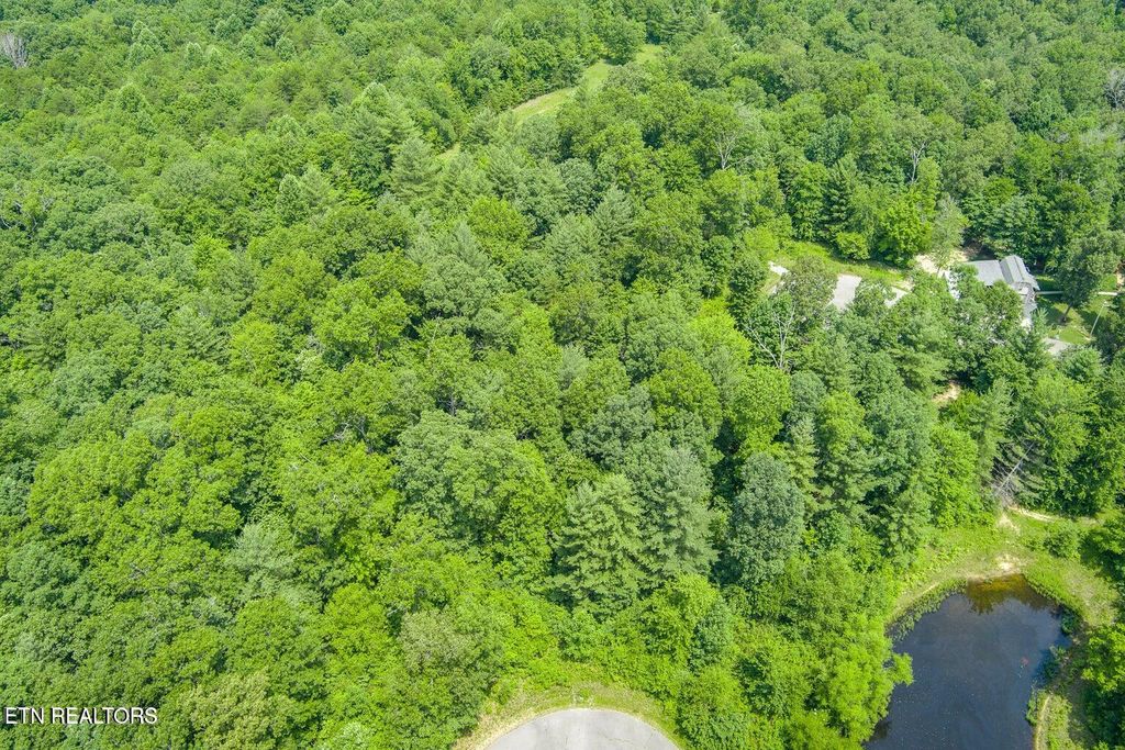 Photo of 58 Mtn Preserve Point, Crab Orchard, TN 37723 (MLS # 1340084)