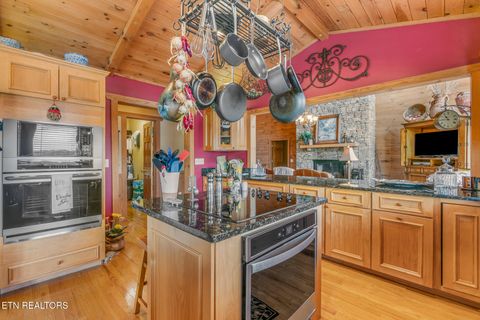 Tiny photo for 2114 Bridge View Drive, Dandridge, TN 37725 (MLS # 1324863)