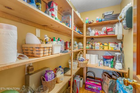 Tiny photo for 2114 Bridge View Drive, Dandridge, TN 37725 (MLS # 1324863)