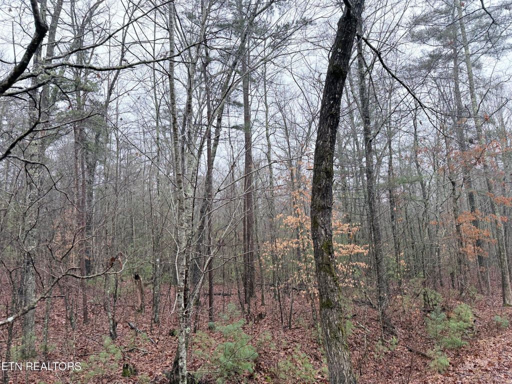 Photo of 000000 hwy 68, Tellico Plains, TN 37385 (MLS # 1329238)