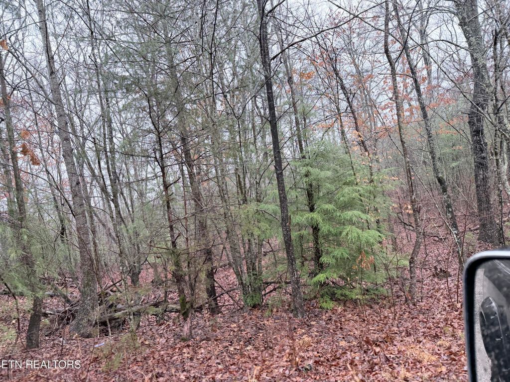 Photo of 000000 hwy 68, Tellico Plains, TN 37385 (MLS # 1329238)