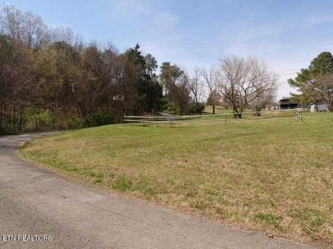 Tiny photo for 216 Slaton Farm Rd Rd, Dandridge, TN 37725 (MLS # 1322983)