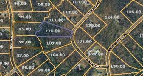 Photo of Belmont Circle, Monterey, TN 38574 (MLS # 1347840)