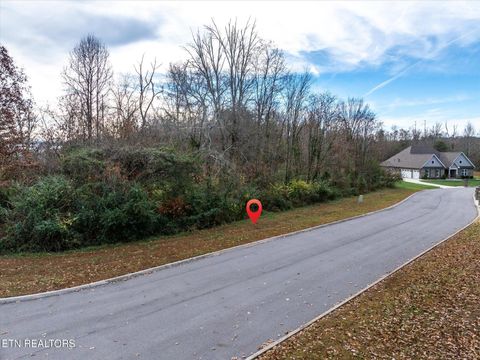 Tiny photo for 71 Cardinal Way, Vonore, TN 37885 (MLS # 1323054)