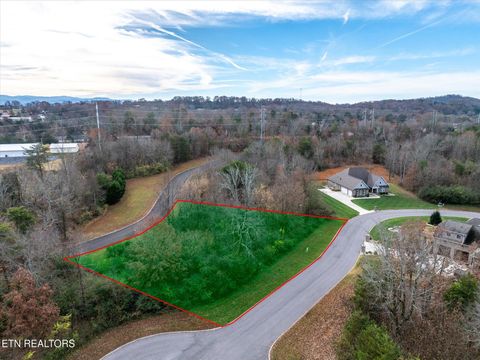 Tiny photo for 71 Cardinal Way, Vonore, TN 37885 (MLS # 1323054)