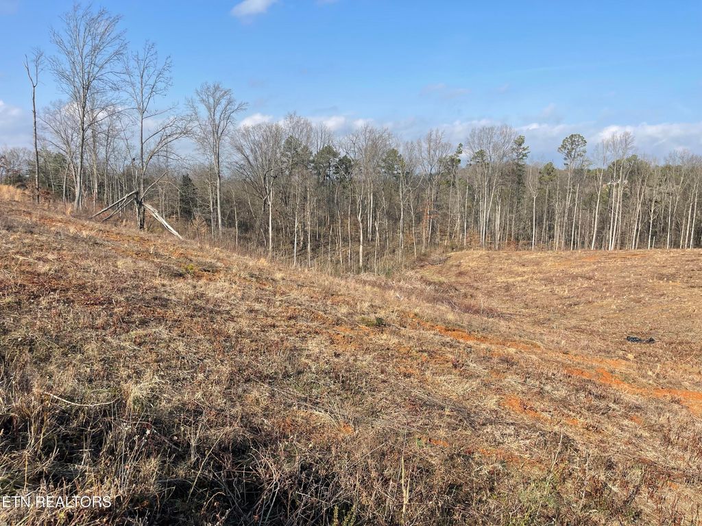 Photo of 12 Laura Boling Loop Rd, Strawberry Plains, TN 37871 (MLS # 1329933)