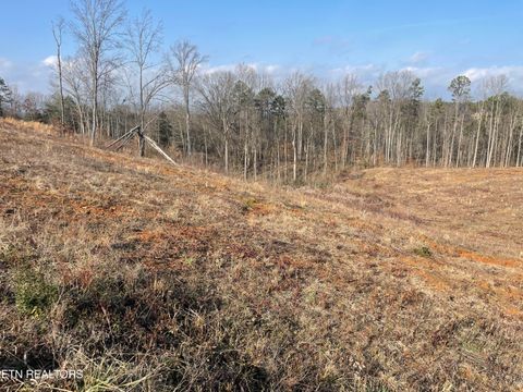 Tiny photo for 12 Laura Boling Loop Rd, Strawberry Plains, TN 37871 (MLS # 1329933)