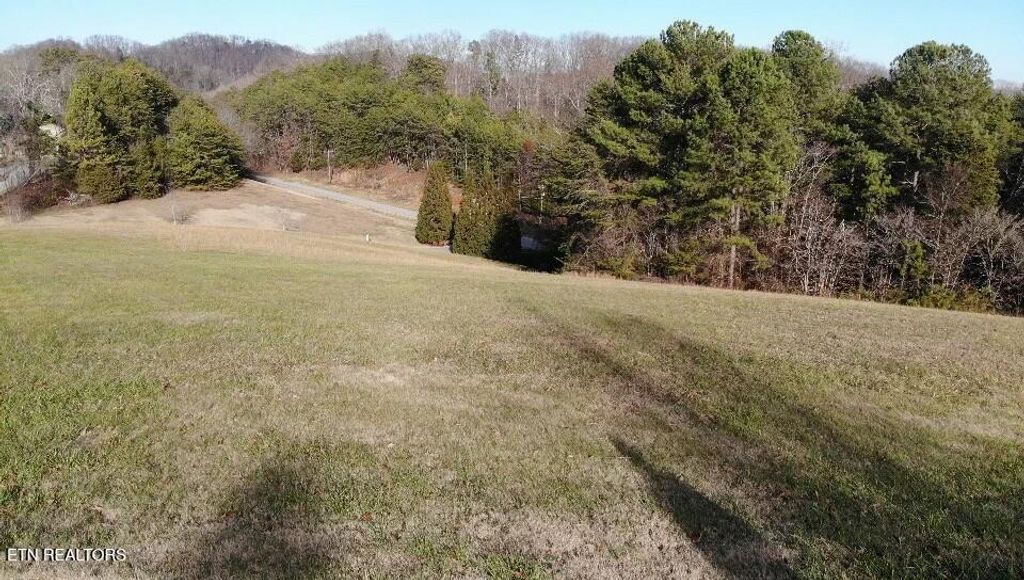 Photo of 150 Pointe Summit Drive, Greenback, TN 37742 (MLS # 1289249)