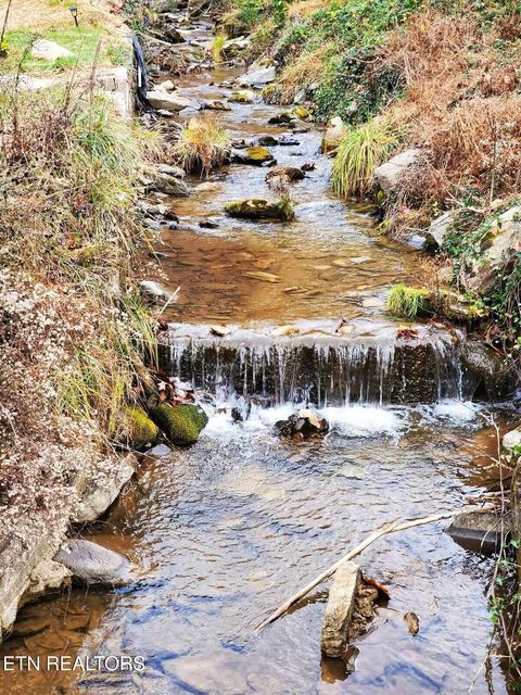 Tiny photo for 569 Baskins Creek Rd, Gatlinburg, TN 37738 (MLS # 1333502)