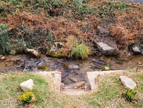 Tiny photo for 569 Baskins Creek Rd, Gatlinburg, TN 37738 (MLS # 1333502)