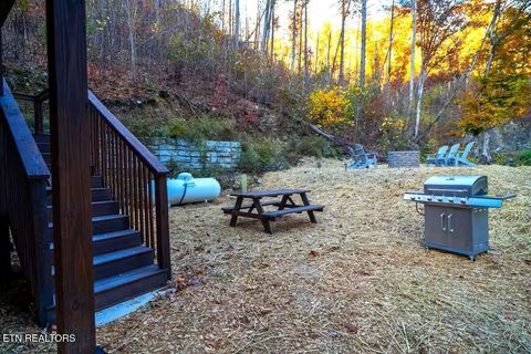 Tiny photo for 569 Baskins Creek Rd, Gatlinburg, TN 37738 (MLS # 1333502)