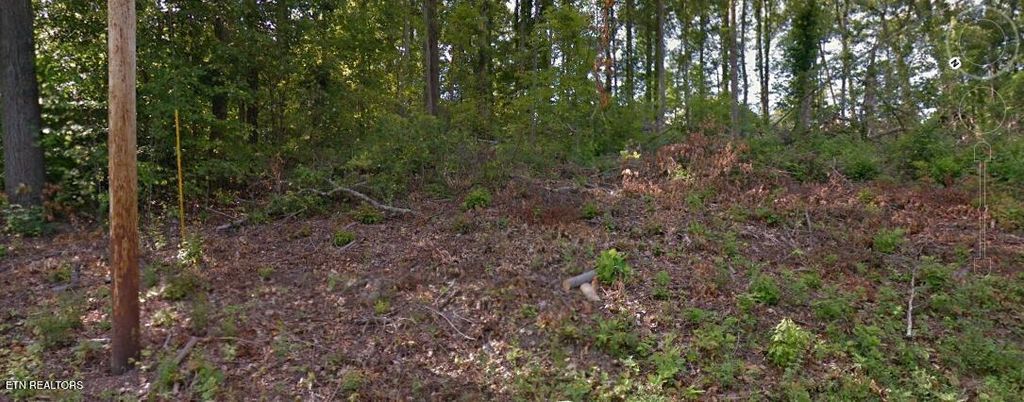 Photo of W Hemlock St, LaFollette, TN 37766 (MLS # 1314256)