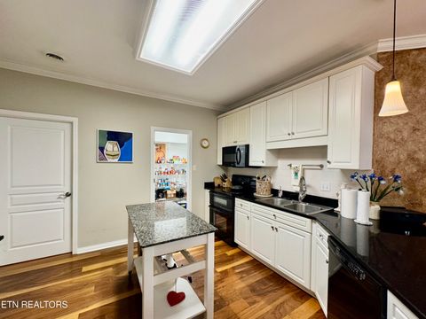 Tiny photo for 622 Chapel Point Lane, Knoxville, TN 37934 (MLS # 1341561)