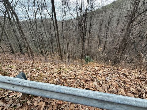 Tiny photo for 34 Alpine Drive, Sevierville, TN 37876 (MLS # 1324742)