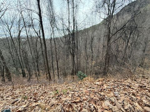 Tiny photo for 34 Alpine Drive, Sevierville, TN 37876 (MLS # 1324742)