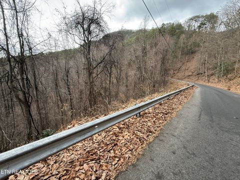 Tiny photo for 34 Alpine Drive, Sevierville, TN 37876 (MLS # 1324742)