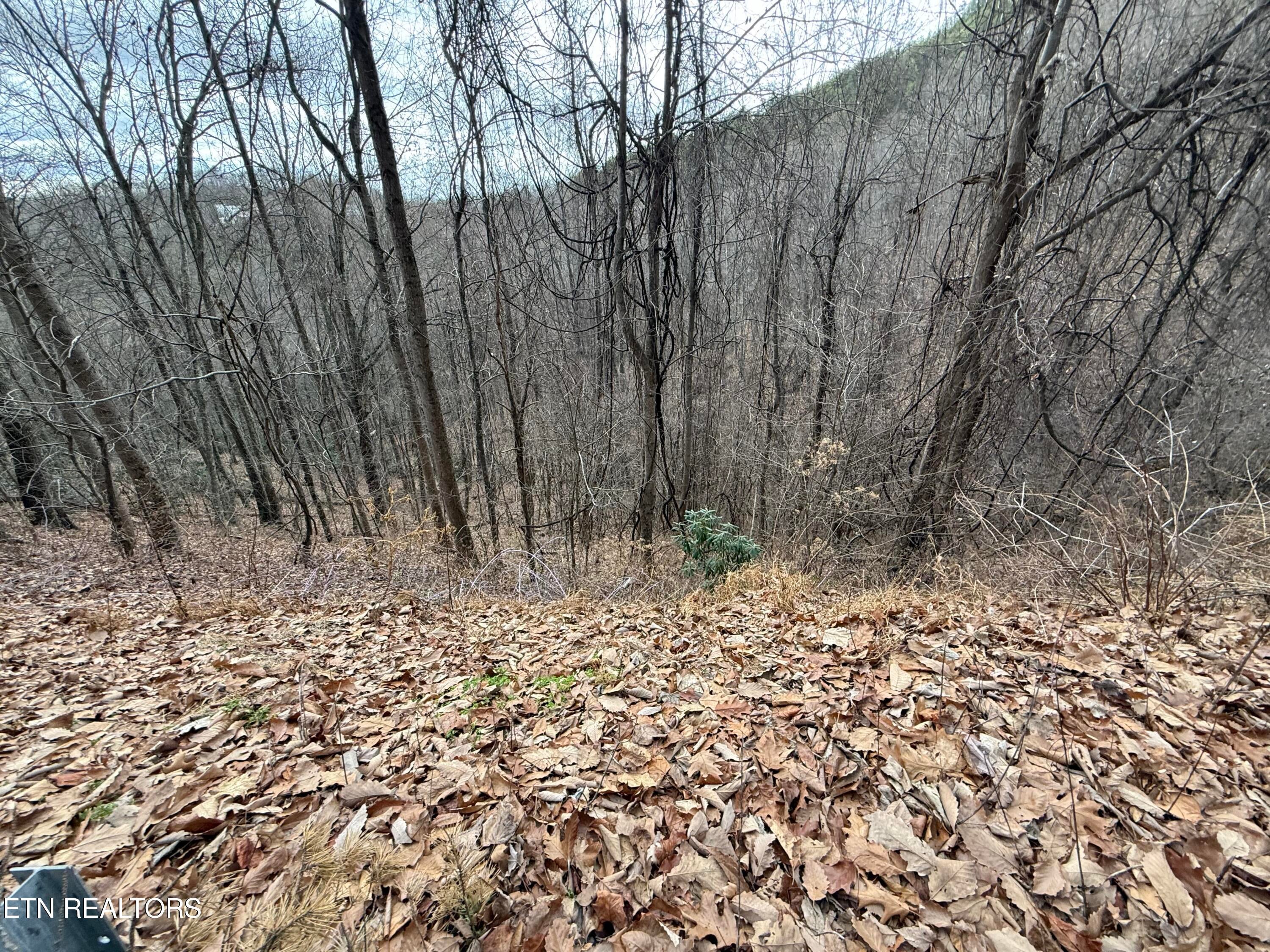 Lot 34 Alpine Drive