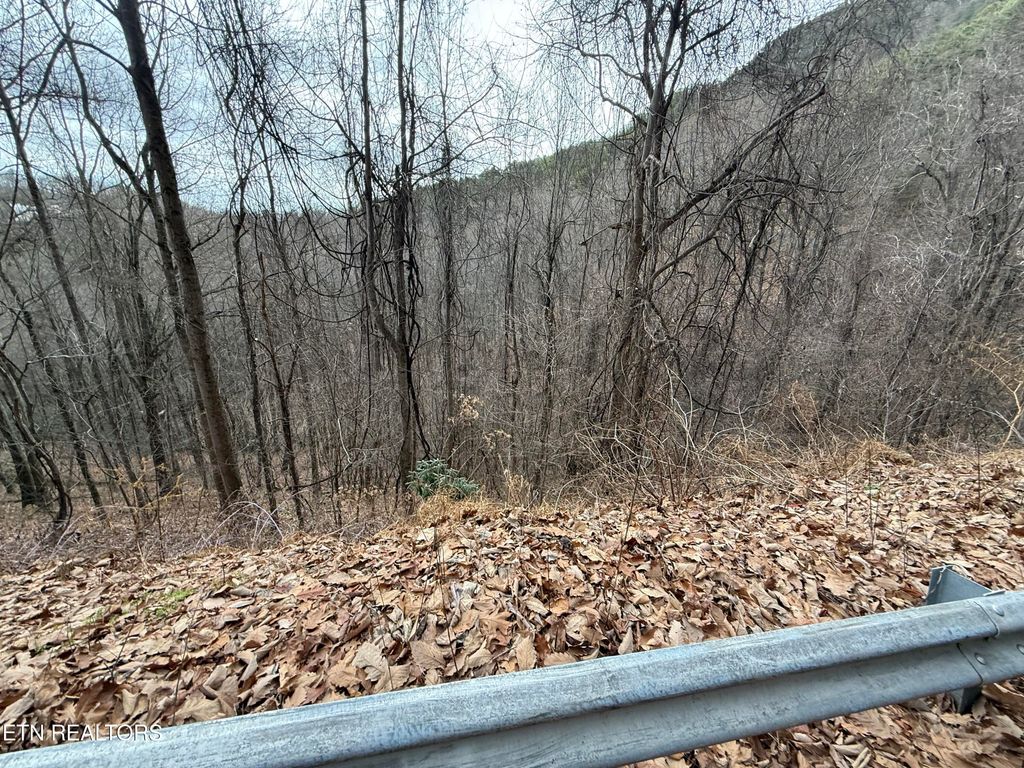 Photo of 34 Alpine Drive, Sevierville, TN 37876 (MLS # 1324742)