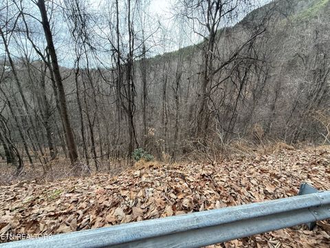 Photo of 34 Alpine Drive, Sevierville, TN 37876 (MLS # 1324742)