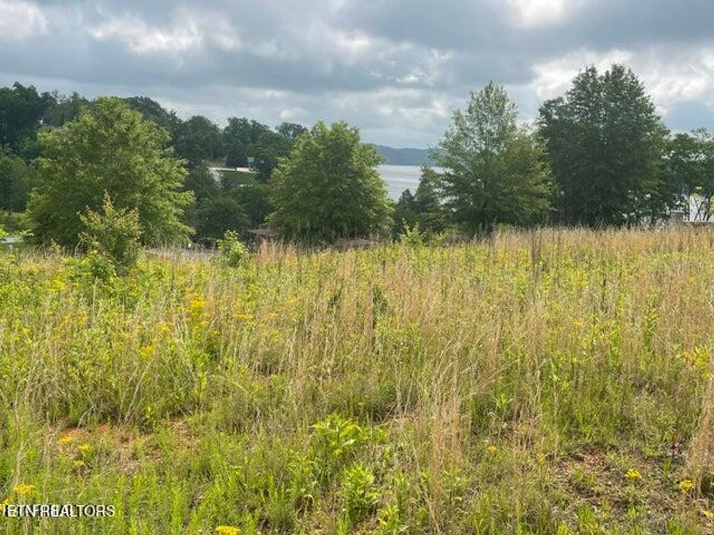 Photo of Serenity Drive, Harriman, TN 37748 (MLS # 1307591)