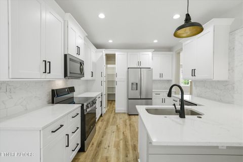 Tiny photo for 3636 S Creek Rd, Knoxville, TN 37920 (MLS # 1339663)
