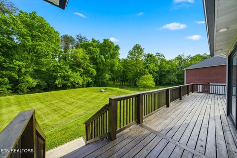 Tiny photo for 3636 S Creek Rd, Knoxville, TN 37920 (MLS # 1339663)