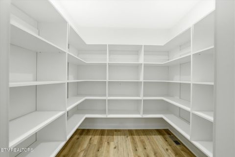 Tiny photo for 3636 S Creek Rd, Knoxville, TN 37920 (MLS # 1339663)