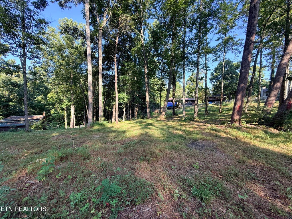 Photo of 1465 Hickory Star Rd, Maynardville, TN 37807 (MLS # 1355011)