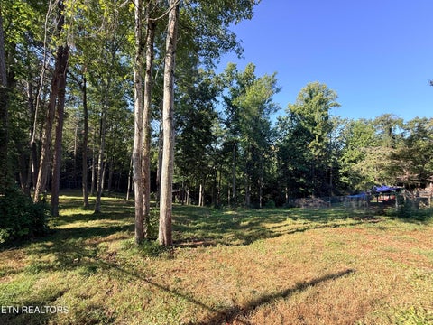 Tiny photo for 1465 Hickory Star Rd, Maynardville, TN 37807 (MLS # 1355011)