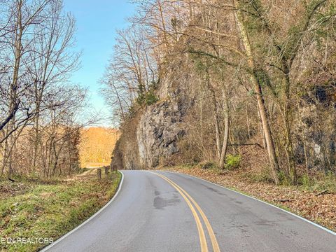 Tiny photo for 197 Sadler Lane, Harriman, TN 37748 (MLS # 1323661)
