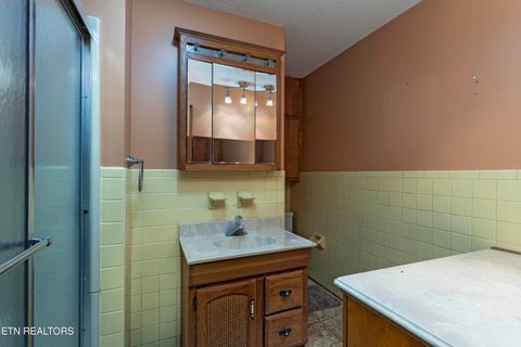 Tiny photo for 197 Sadler Lane, Harriman, TN 37748 (MLS # 1323661)