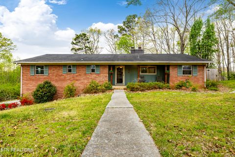 Photo of 907 W 6th Ave, Lenoir City, TN 37771 (MLS # 1335499)