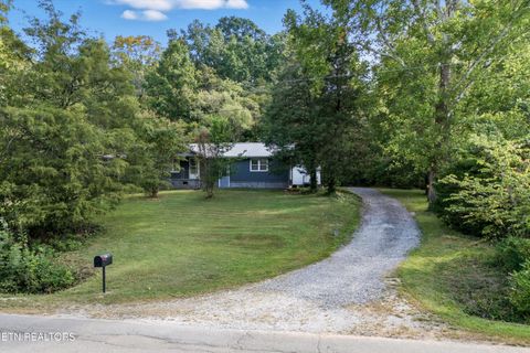 Photo of 187 Cobb Hollow Rd, Rocky Top, TN 37769 (MLS # 1316359)