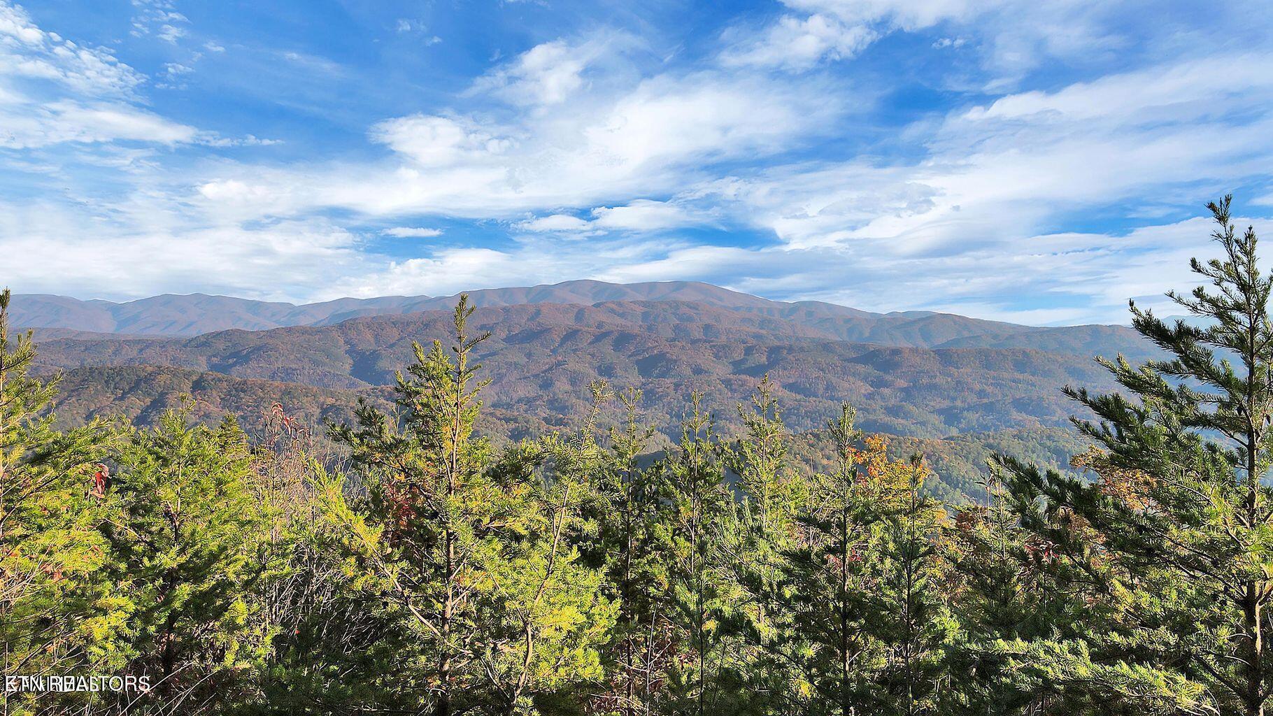 Tract 29R3 Chilhowee Mountain Tr