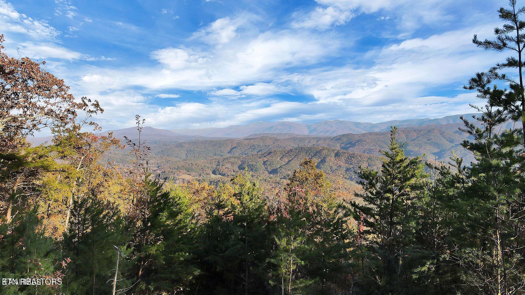 Tract 29R3 Chilhowee Mountain Tr