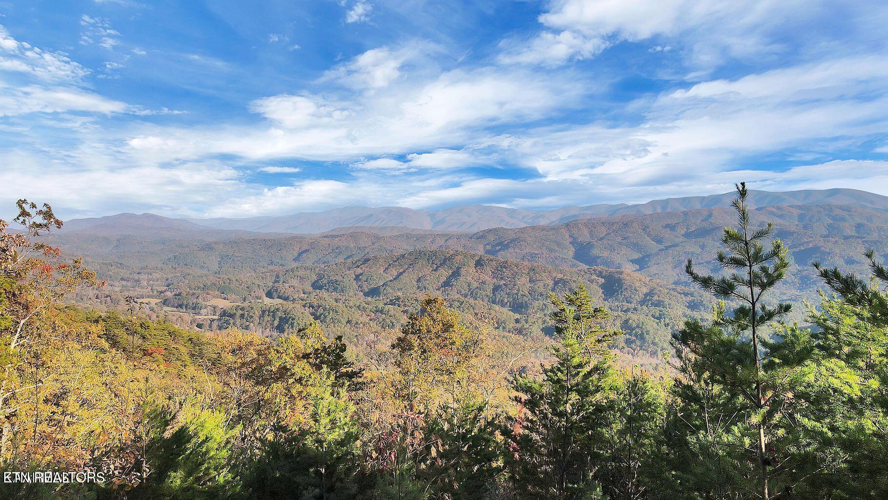 Tract 29R3 Chilhowee Mountain Tr