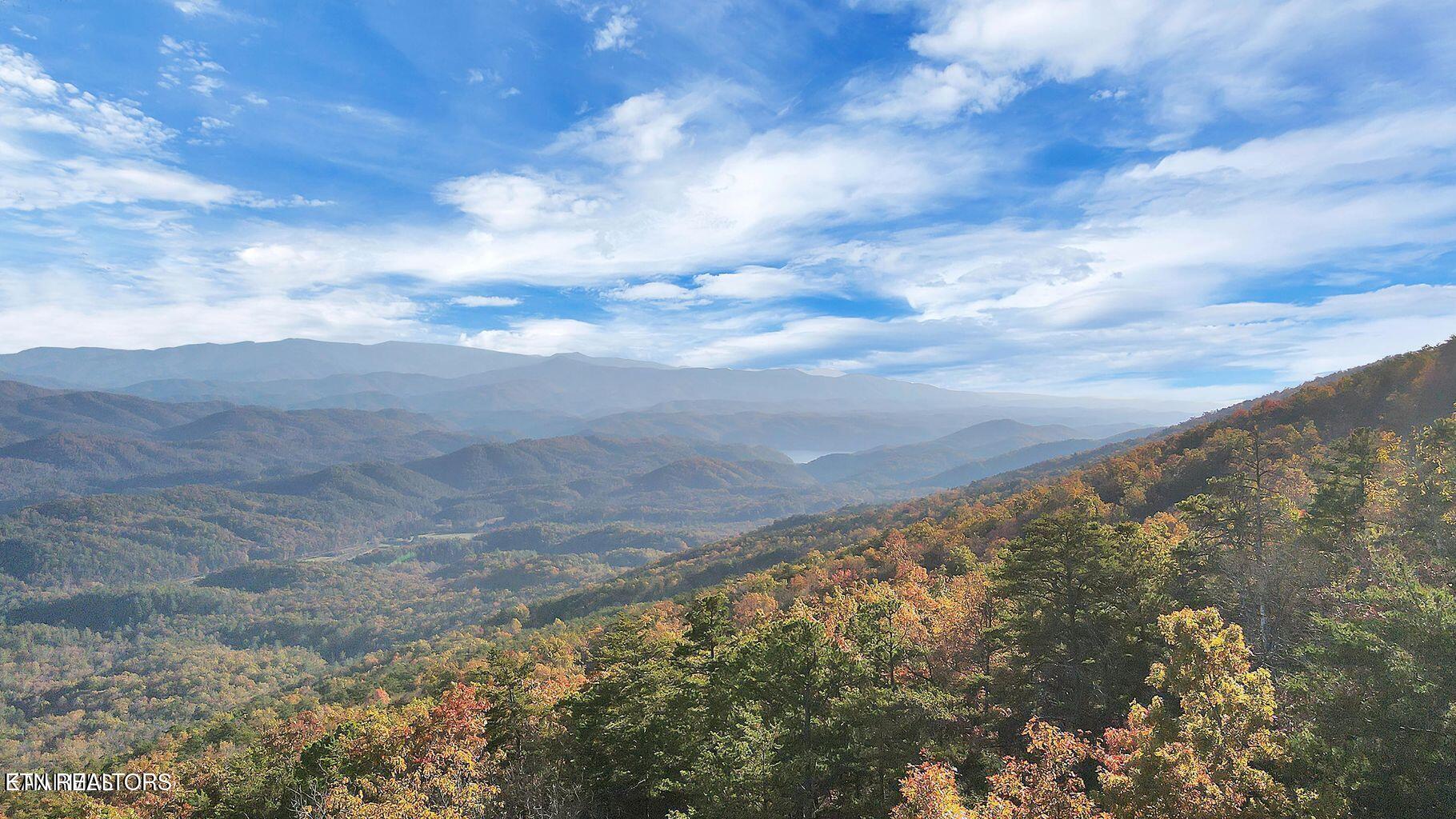 Tract 29R3 Chilhowee Mountain Tr