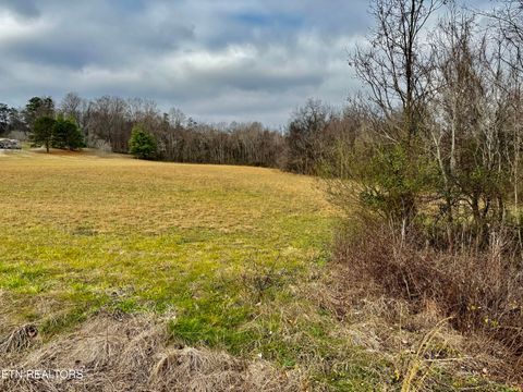 Tiny photo for 0 Valley Home Rd, White Pine, TN 37890 (MLS # 1328076)