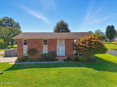 Photo of 701 Foster Drive, Lenoir City, TN 37772 (MLS # 1319613)