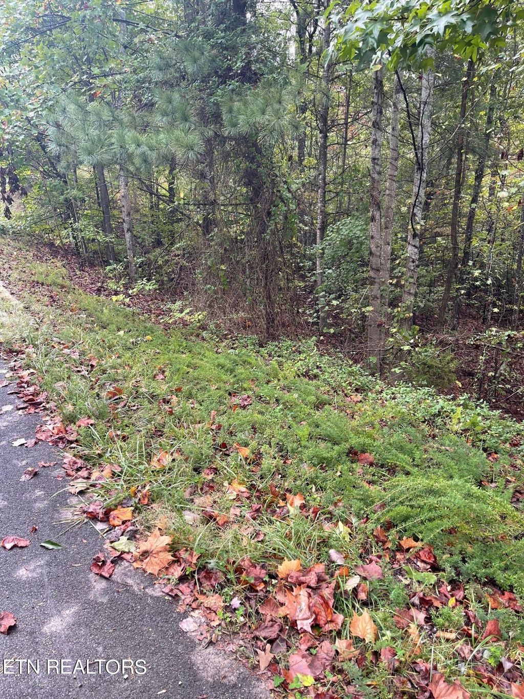 Photo of 445 Hawken Drive, Walland, TN 37886 (MLS # 1278012)