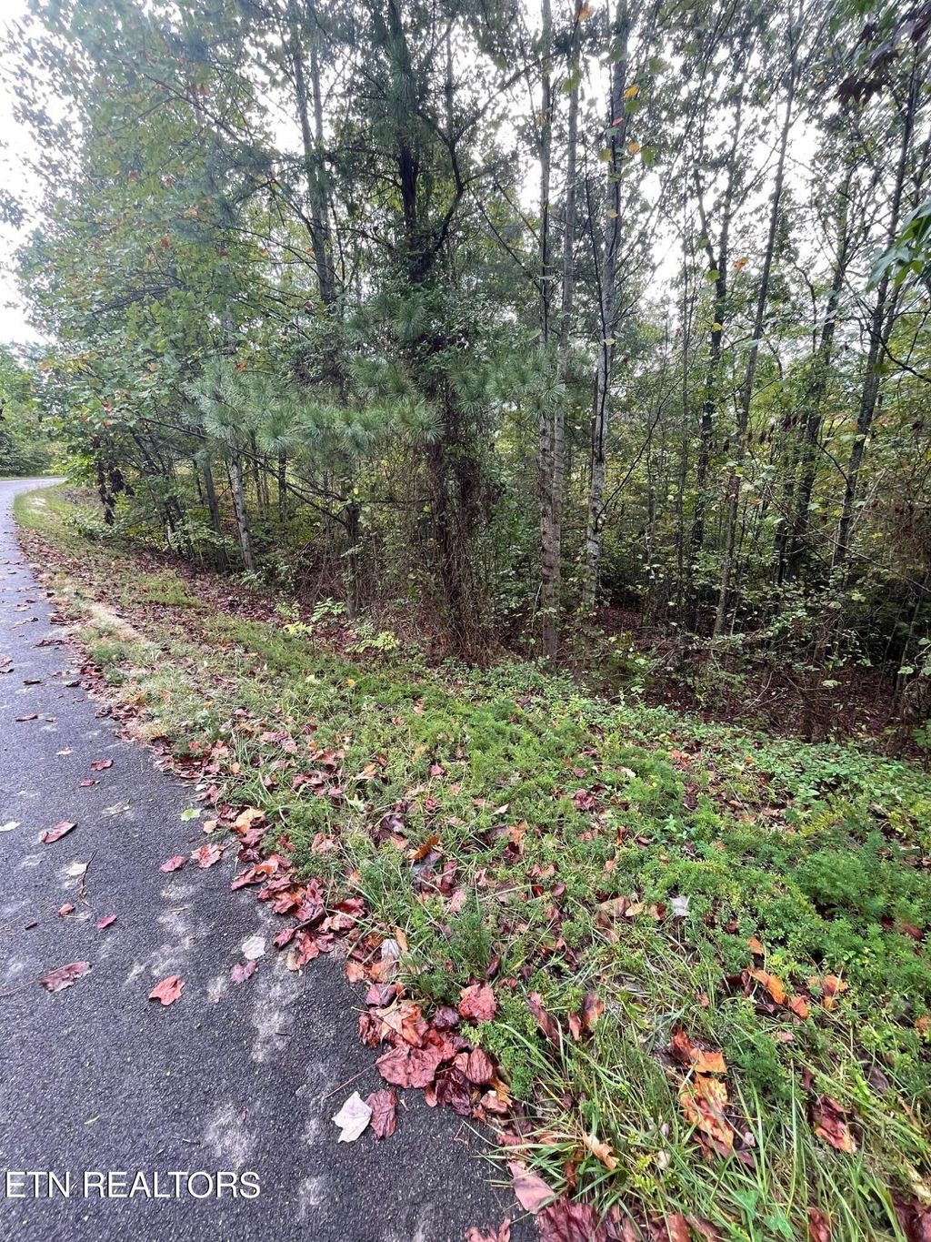 Photo of 445 Hawken Drive, Walland, TN 37886 (MLS # 1278012)