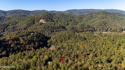 Tiny photo for 3044 Brothers Way, Sevierville, TN 37862 (MLS # 1319237)