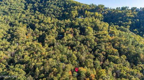 Tiny photo for 3044 Brothers Way, Sevierville, TN 37862 (MLS # 1319237)