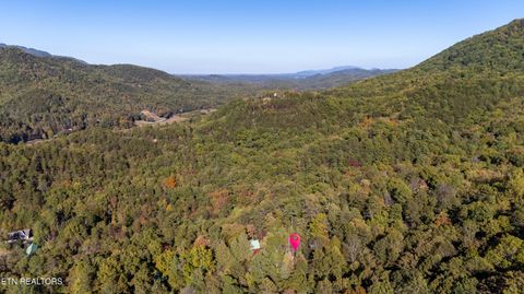 Tiny photo for 3044 Brothers Way, Sevierville, TN 37862 (MLS # 1319237)