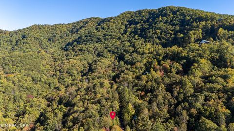 Tiny photo for 3044 Brothers Way, Sevierville, TN 37862 (MLS # 1319237)