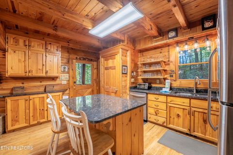 Tiny photo for 3044 Brothers Way, Sevierville, TN 37862 (MLS # 1319237)